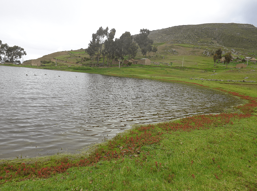 wilcacocha lake