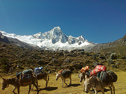 caminata santa cruz